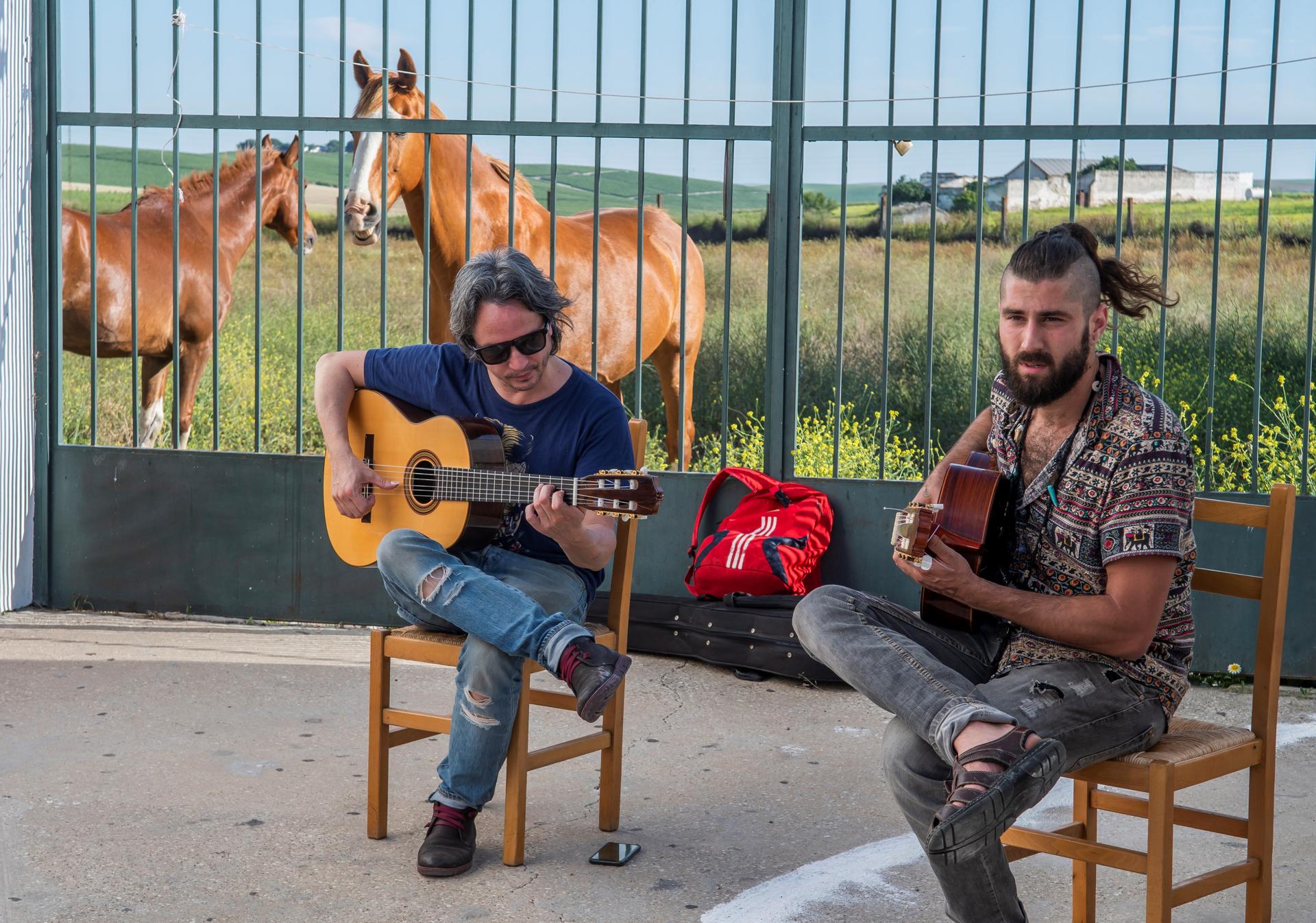 Lee más sobre el artículo Los Delinqüentes se reúnen 15 años después para una gira en 2026